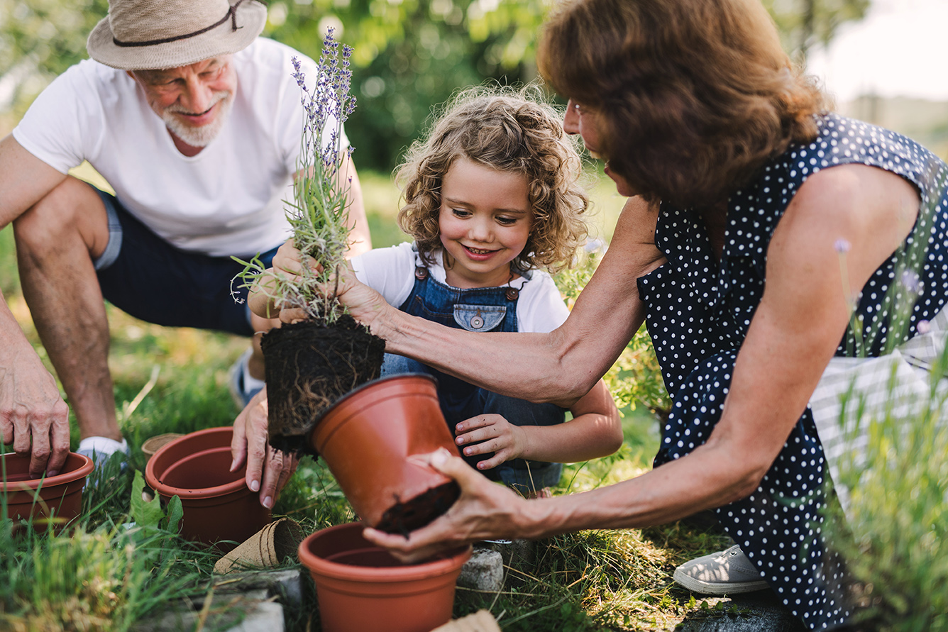 Estate Wealth Planning Strategies | Tallus Capital Management